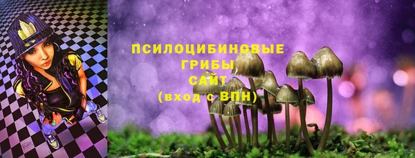 мдпв Балахна