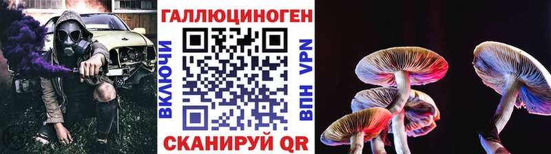 Псилоцибиновые грибы Psilocybe OMG рабочий сайт Верхний Тагил купить закладку